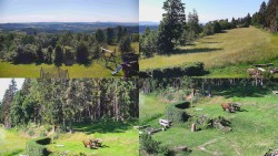 Sdružený snímek okolí chaty Myslivna