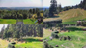 Myslivecká chata SKP Olomouc - Kompositfoto der Umgebung der Myslivna-Hütte - 31.7.2026 v 11:31 Myslivecká chata SKP Olomouc - Kompositfoto der Umgebung der Myslivna-Hütte - 31.7.2026 v 11:31
