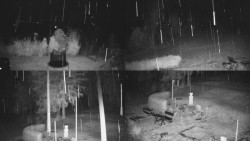 Kompositfoto der Umgebung der Myslivna-Hütte