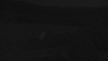 Snímek    14.7.2025 v 03:00