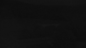Stará ves - Fotbalové hřiště - 12.9.2025 v 02:30