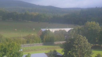 Snímek    17.9.2025 v 08:30
