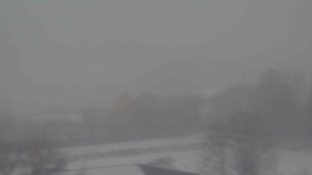 Snímek    24.11.2025 v 08:00