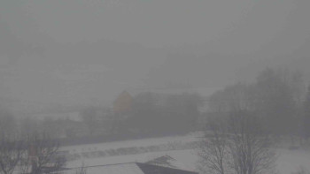 Snímek    24.11.2025 v 08:30