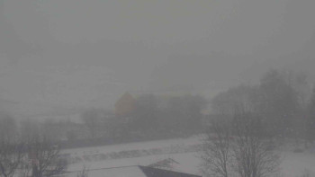 Snímek    24.11.2025 v 09:30