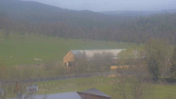 Fotbalové hřiště