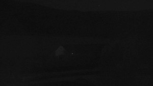 Stará ves - Fotbalové hřiště - 29.4.2026 v 02:30