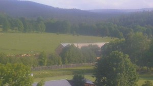 Stará ves - Fotbalové hřiště - 31.5.2026 v 07:30 Stará ves - Fotbalové hřiště - 31.5.2026 v 07:30