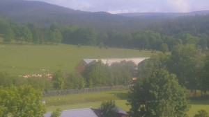 Stará ves - Fotbalové hřiště - 31.5.2026 v 08:30 Stará ves - Fotbalové hřiště - 31.5.2026 v 08:30
