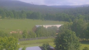 Stará ves - Fotbalové hřiště - 31.5.2026 v 09:00 Stará ves - Fotbalové hřiště - 31.5.2026 v 09:00