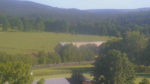 Stará ves - Fotbalové hřiště - 6.6.2026 v 07:30