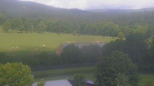 Stará ves - Fotbalové hřiště - 6.6.2026 v 11:30