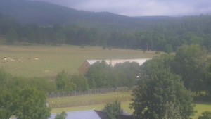 Stará ves - Fotbalové hřiště - 23.7.2026 v 09:30 Stará ves - Fotbalové hřiště - 23.7.2026 v 09:30