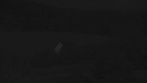 Stará ves - Fotbalové hřiště - 31.7.2026 v 01:30