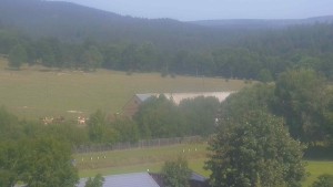 Stará ves - Fotbalové hřiště - 31.7.2026 v 10:30