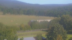 Fußballfeld