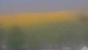 Snímek    11.5.2025 v 05:30