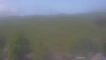 Snímek    15.5.2025 v 11:30