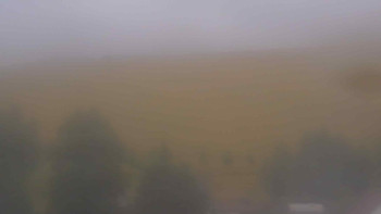 Snímek    12.7.2025 v 08:30
