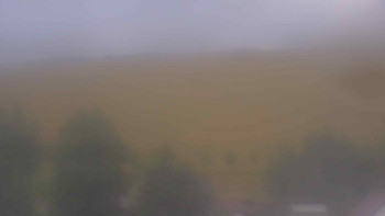 Snímek    12.7.2025 v 11:00