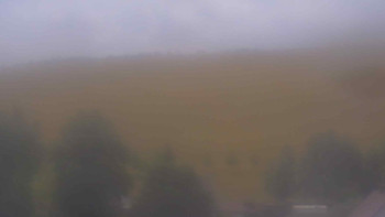 Snímek    13.7.2025 v 13:30