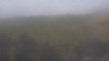 Snímek    15.8.2025 v 15:00