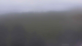 Snímek    17.9.2025 v 16:30