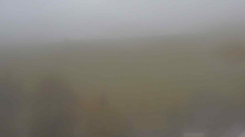 Snímek    17.10.2025 v 09:30