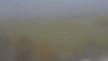 Snímek    17.10.2025 v 13:00