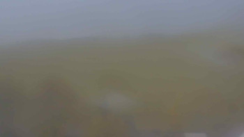 Snímek    25.10.2025 v 13:00