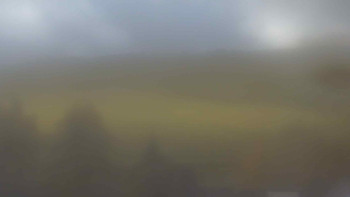 Snímek    29.10.2025 v 12:00