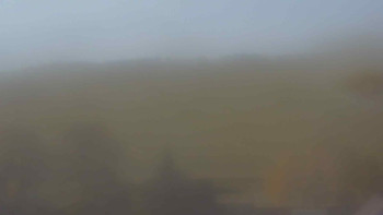 Snímek    31.10.2025 v 11:00