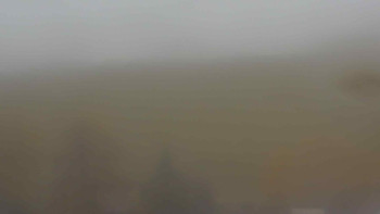 Snímek    1.11.2025 v 09:30