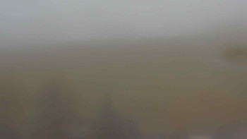 Snímek    1.11.2025 v 10:30