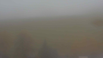 Snímek    1.11.2025 v 11:00