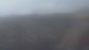 Snímek    1.11.2025 v 13:00