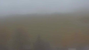 Snímek    1.11.2025 v 15:30