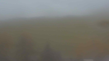 Snímek    1.11.2025 v 16:00