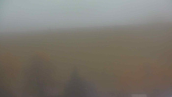 Snímek    3.11.2025 v 07:00