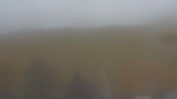 Snímek    3.11.2025 v 08:00