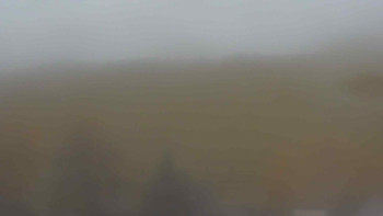 Snímek    3.11.2025 v 09:00