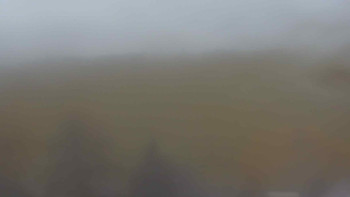 Snímek    3.11.2025 v 11:30