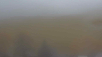 Snímek    3.11.2025 v 12:30