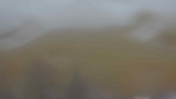 Snímek    3.11.2025 v 13:00