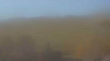 Snímek    4.11.2025 v 11:00