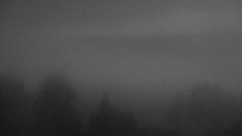 Snímek 5.11.2025 v 03:30