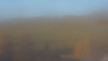 Snímek 6.11.2025 v 08:00