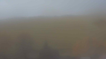 Snímek 7.11.2025 v 08:00