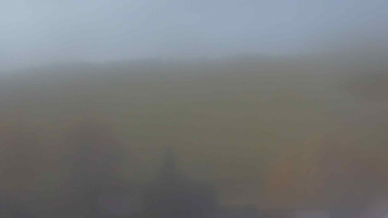 Snímek 7.11.2025 v 08:30