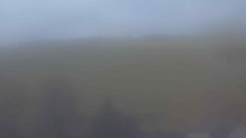 Snímek 7.11.2025 v 10:00